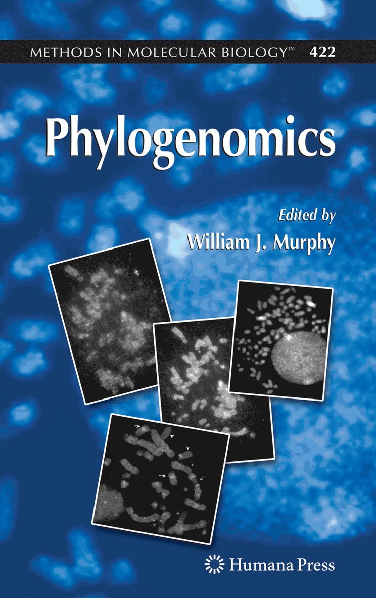 William J. Murphy - Phylogenomics, Inbunden