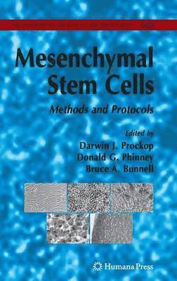 Darwin J. Prockop, Donald G. Phinney, Bruce A. Bunnell, Douglas G. Phinney - Mesenchymal Stem Cells, Inbunden