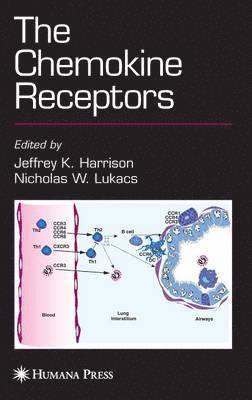 Jeffrey K. Harrison, Nicholas W. Lukacs - Chemokine Receptors, Inbunden