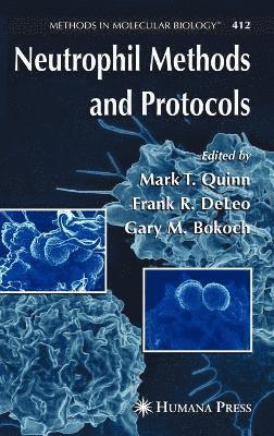 bokomslag Neutrophil Methods and Protocols