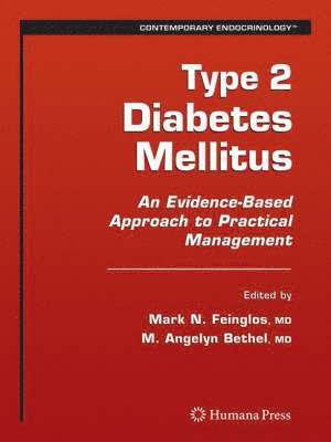 Mark N. Feinglos, Mary Angelyn Bethel - Type 2 Diabetes Mellitus:, Inbunden