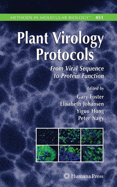 bokomslag Plant Virology Protocols