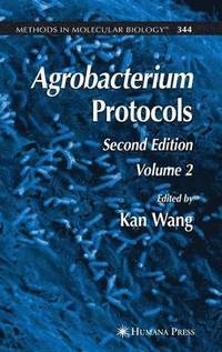 bokomslag Agrobacterium Protocols