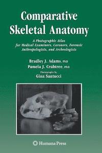 bokomslag Comparative Skeletal Anatomy