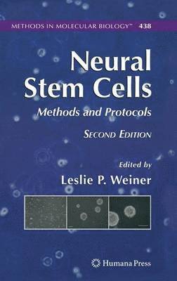 Leslie P. Weiner - Neural Stem Cells, Inbunden