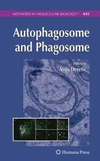 bokomslag Autophagosome and Phagosome