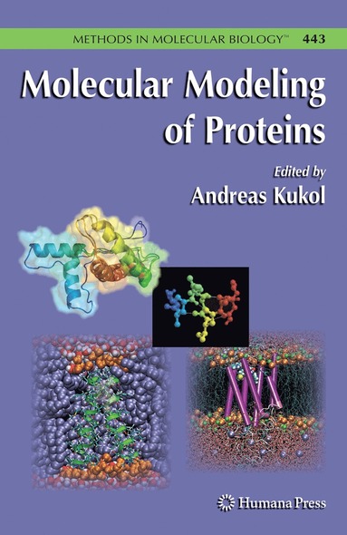 bokomslag Molecular Modeling of Proteins