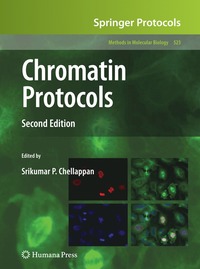 bokomslag Chromatin Protocols