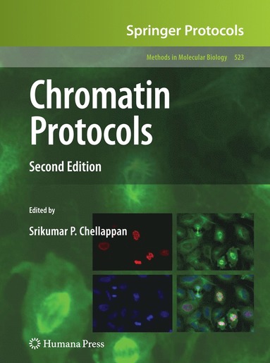 bokomslag Chromatin Protocols