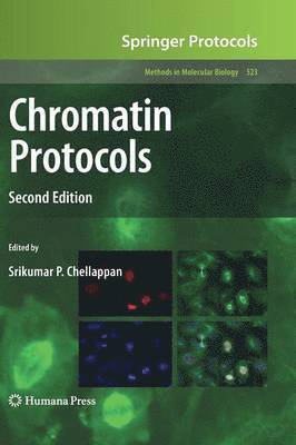 Srikumar P. Chellappan - Chromatin Protocols, Inbunden