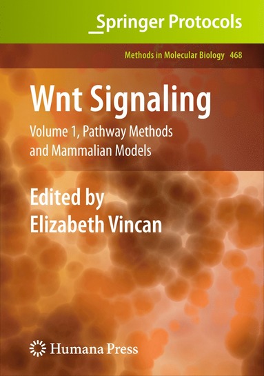 bokomslag Wnt Signaling