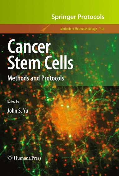 John S. Yu - Cancer Stem Cells, Inbunden