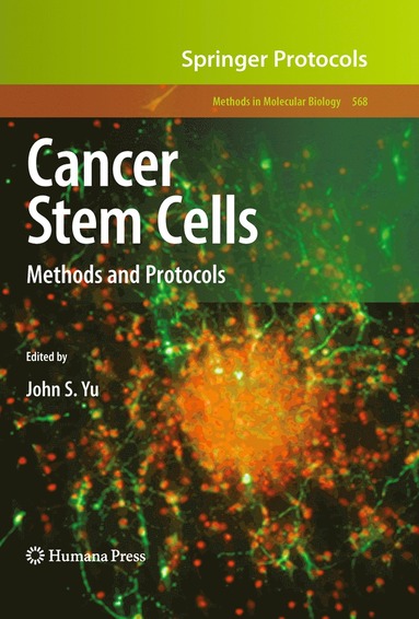 bokomslag Cancer Stem Cells