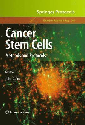 Cancer Stem Cells 1
