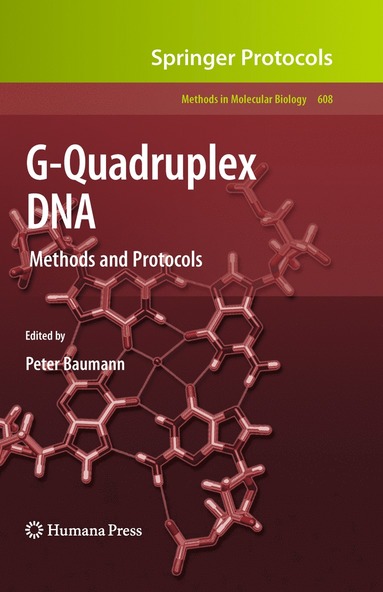 bokomslag G-Quadruplex DNA