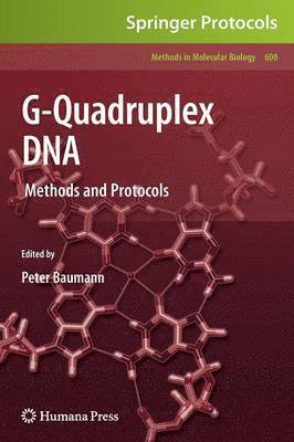 G-Quadruplex DNA