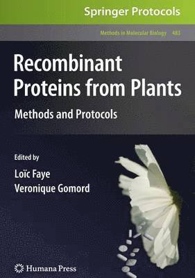 Recombinant Proteins From Plants 1