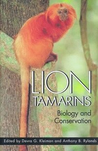 bokomslag Lion Tamarins