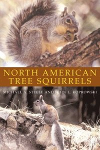 bokomslag North American Tree Squirrels