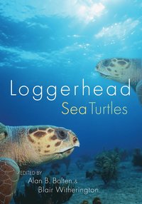 bokomslag Loggerhead Sea Turtles