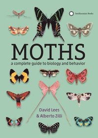 bokomslag Moths: A Complete Guide to Biology and Behavior