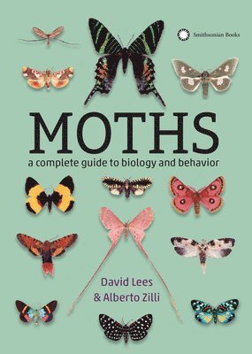 bokomslag Moths