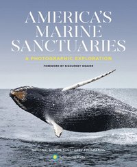bokomslag America'S Marine Sanctuaries