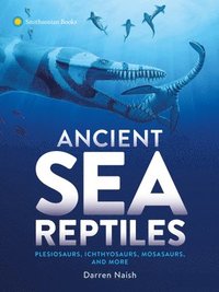 bokomslag Ancient Sea Reptiles: Plesiosaurs, Ichthyosaurs, Mosasaurs, and More