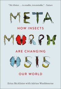 bokomslag Metamorphosis: How Insects Are Changing Our World