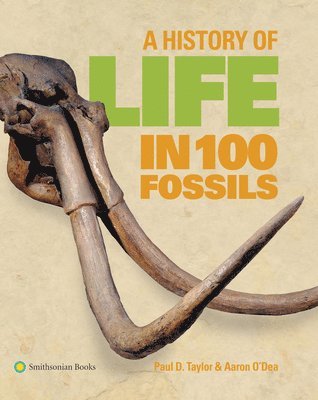 Paul D. Taylor, Aaron O'Dea - A History of Life in 100 Fossils, Häftad