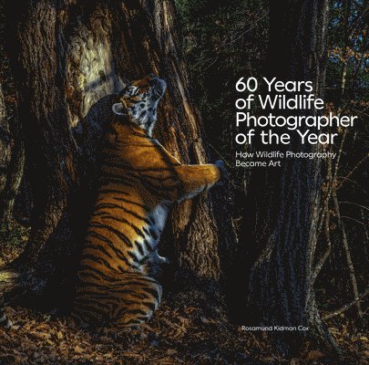 60 Years of Wildlife Photographer of the Year: How Wildlife Photography Became Art 1