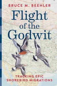 bokomslag Flight of the Godwit: Tracking Epic Shorebird Migrations