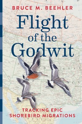 Flight of the Godwit 1