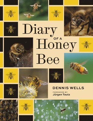 Dennis Wells - Diary of a Honey Bee, Inbunden