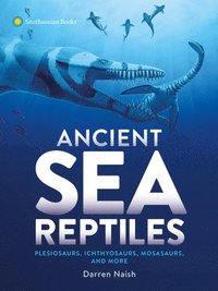 bokomslag Ancient Sea Reptiles