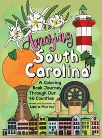 bokomslag Amazing South Carolina