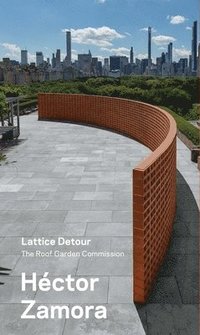 bokomslag Hector Zamora: Lattice Detour