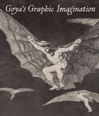 bokomslag Goya's Graphic Imagination