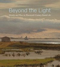 bokomslag Beyond the Light
