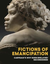 bokomslag Fictions of Emancipation