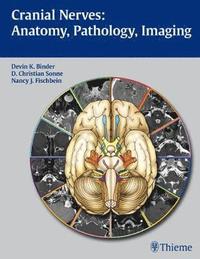 bokomslag Cranial Nerves: Anatomy, Pathology, Imaging