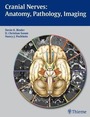 Cranial Nerves: Anatomy, Pathology, Imaging 1
