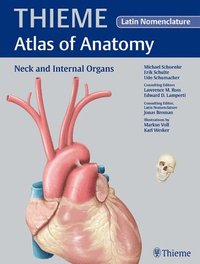 bokomslag Neck and Internal Organs: Latin Nomenclature