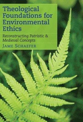 Theological Foundations for Environmental Ethics 1