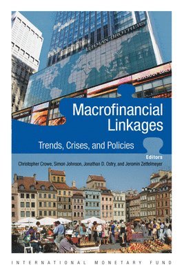 bokomslag Macro-Financial Linkages