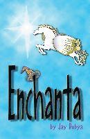 bokomslag Enchanta