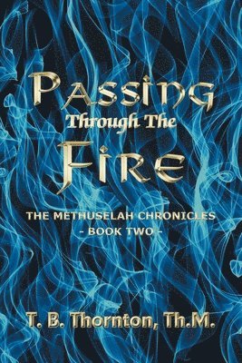 Passing Through The Fire 1