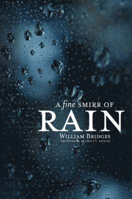 bokomslag Fine Smirr of Rain