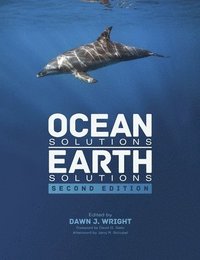bokomslag Ocean Solutions, Earth Solutions