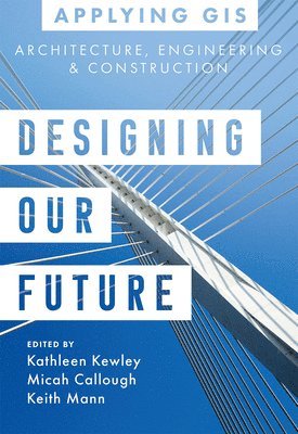 bokomslag Designing Our Future